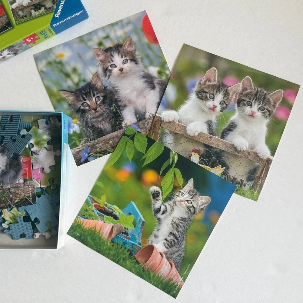 Ravensburger Puzzle with Playful Kittens